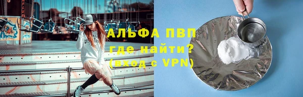тгк Новозыбков