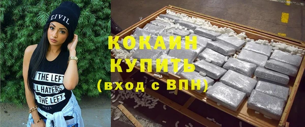 тгк Новозыбков