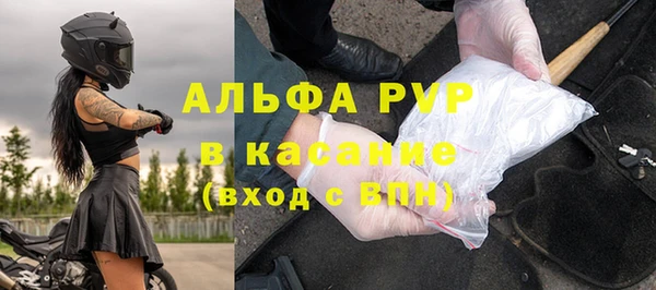 тгк Новозыбков