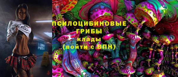 синтетический гашиш Новодвинск