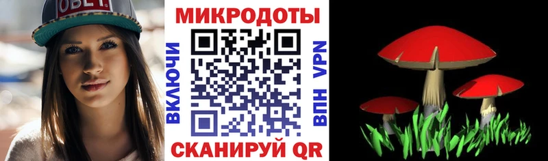 Псилоцибиновые грибы Magic Shrooms  закладки  ссылка на мегу ТОР  Нарьян-Мар 